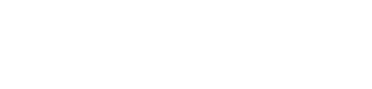 The Hospitals of Providence